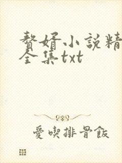 赘婿小说精校版全集txt