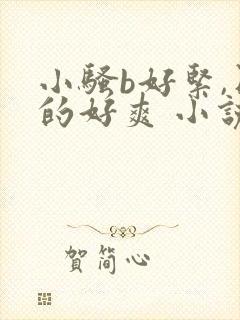 小骚b好紧,日的好爽 小说