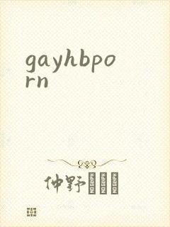 gayhbporn