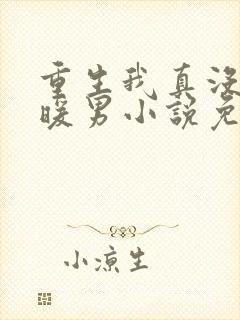 重生我真没想当暖男小说免费阅读全文