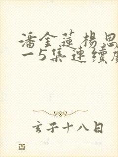 潘金莲杨思敏1一5集连续剧