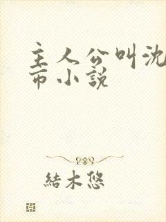 主人公叫沈飞都市小说