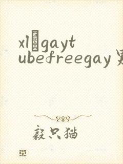 xl–gaytubefreegay男同