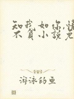 知我如你,情深不负小说免费阅读