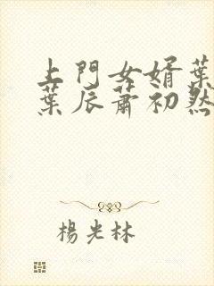 上门女婿叶辰 叶辰萧初然531