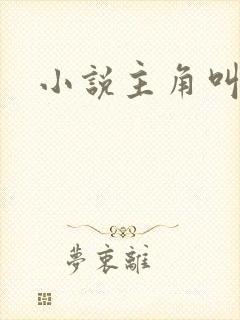 小说主角叫沈浪