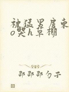 被猛男房东cao哭h草棚