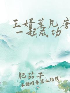 王婿叶凡唐若雪 一起成功