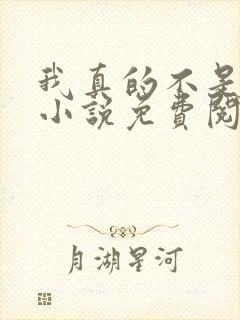 我真的不是反派小说免费阅读