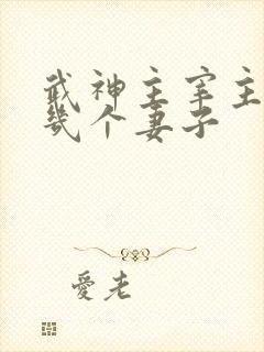 武神主宰主角有几个妻子