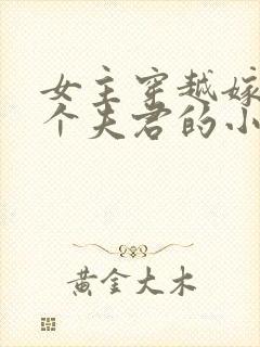 女主穿越嫁了6个夫君的小说