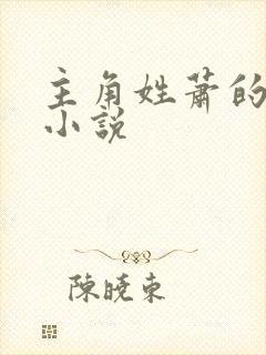 主角姓萧的都市小说