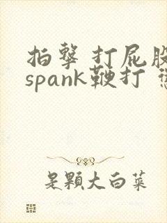 拍击 打屁股 spank鞭打 惩罚
