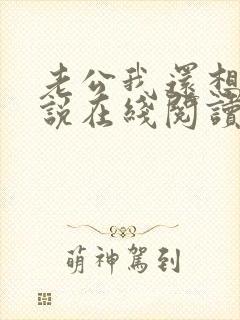 老公我还想要小说在线阅读