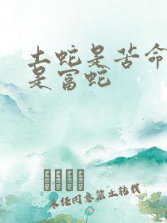 土蛇是苦命蛇还是富蛇