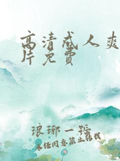 高清成人爽a毛片免费