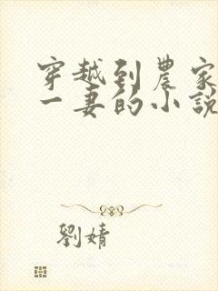 穿越到农家五夫一妻的小说