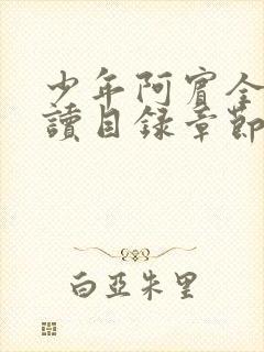 少年阿宾全集阅读目录章节