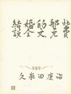 结婚的那些事小说全文免费阅读