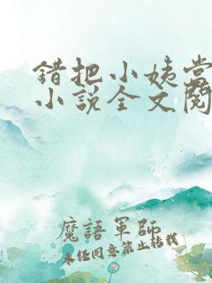 错把小姨当老婆小说全文阅读