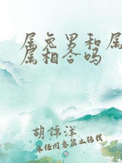 属兔男和属龙女属相合吗