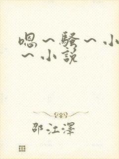 嗯～骚～小淫妇～小说