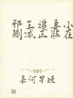 邪王追妻小说无删减正版在线阅读