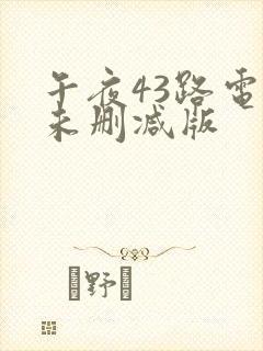 午夜43路电影未删减版