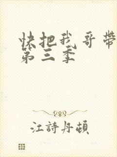 快把我哥带走 第三季