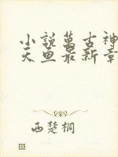 小说万古神帝飞天鱼最新章节目录