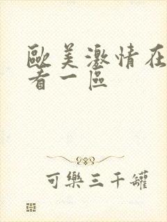 欧美激情在线观看一区