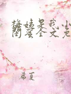 梅姨是我小妈的闺蜜全文免费阅读