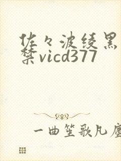 佐々波绫黑人解禁vicd377