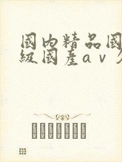 国内精品国产三级国产aⅴ久