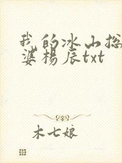 我的冰山总裁老婆杨辰txt