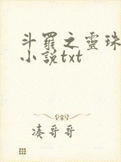 斗罗之灵珠神剑小说txt