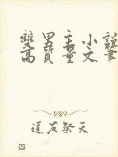 双男主小说推荐高质量文笔好