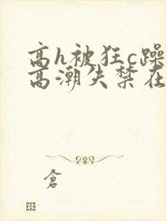 高h被狂c躁到高潮失禁在线视频