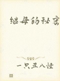 继母的秘密韩国