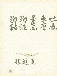 狗狗晕车吐白沫黏液怎么办