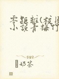 零距离(校园)小说青梅竹马