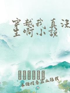 穿越我真没想重生啊小说