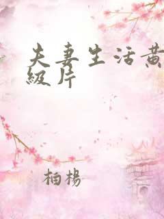 夫妻生活黄色一级片