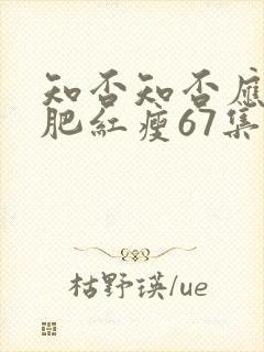 知否知否应是绿肥红瘦67集