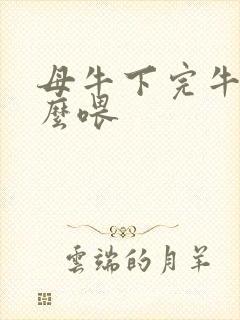 母牛下完牛犊怎么喂