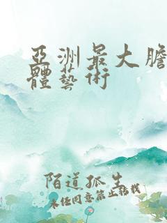 亚洲最大胆的人体艺术