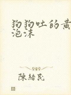 狗狗吐的黄水带泡沫