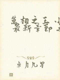 万相之王 小说 最新章节 无弹窗