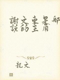 谢文东是哪部小说的主角