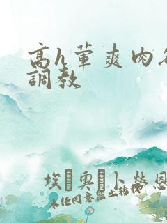 高h荤爽肉欲文调教